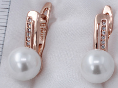 фото Серьги  fallon - (артикул - 18e086h0-FF1986)