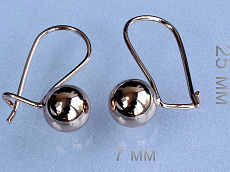 Серьги fallon 18e01600-FF8316 фото Серьги fallon - (артикул - 18e01600-FF8316)